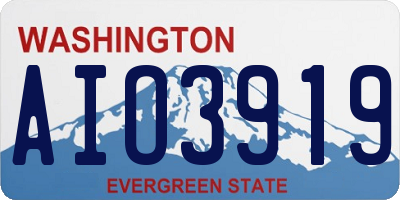 WA license plate AIO3919