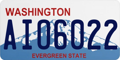 WA license plate AIO6022