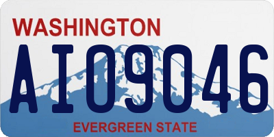 WA license plate AIO9046
