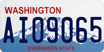 WA license plate AIO9065