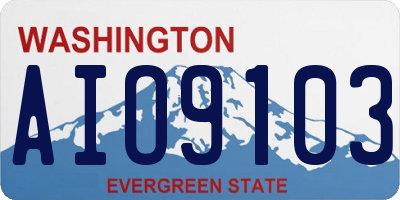 WA license plate AIO9103
