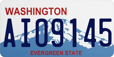 WA license plate AIO9145