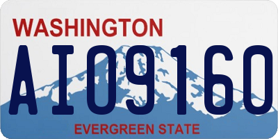 WA license plate AIO9160
