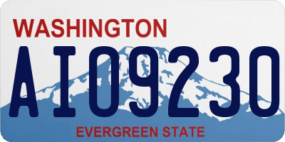 WA license plate AIO9230