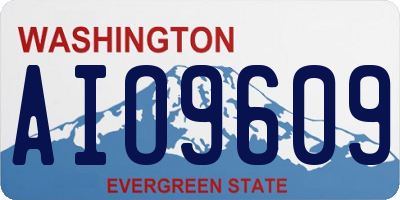 WA license plate AIO9609