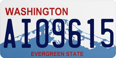 WA license plate AIO9615