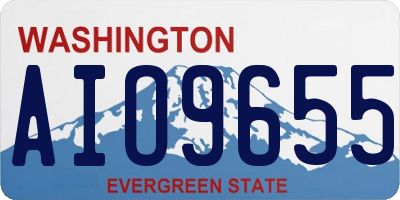 WA license plate AIO9655