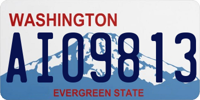 WA license plate AIO9813