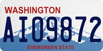 WA license plate AIO9872