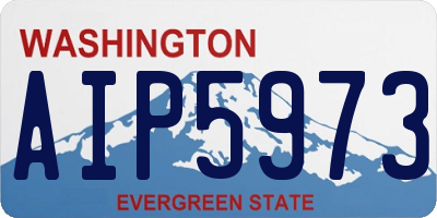 WA license plate AIP5973