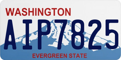 WA license plate AIP7825