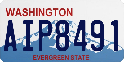 WA license plate AIP8491