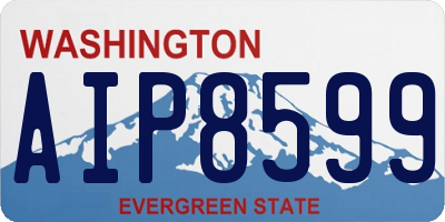 WA license plate AIP8599