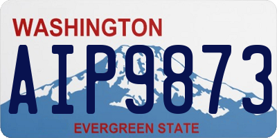 WA license plate AIP9873