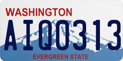 WA license plate AIQ0313
