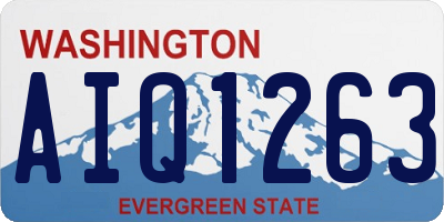 WA license plate AIQ1263