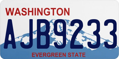 WA license plate AJB9233