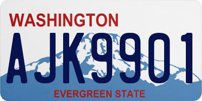 WA license plate AJK9901