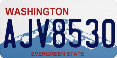 WA license plate AJV8530