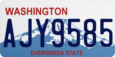 WA license plate AJY9585