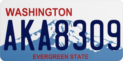 WA license plate AKA8309
