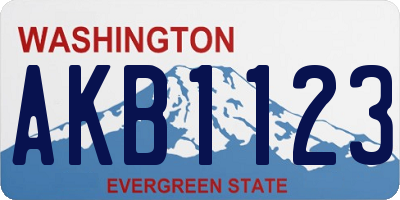 WA license plate AKB1123