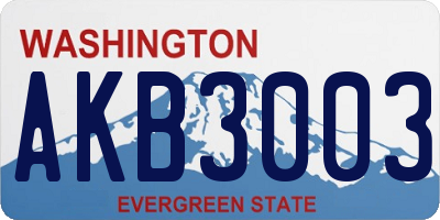 WA license plate AKB3003