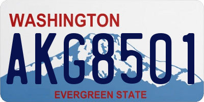 WA license plate AKG8501