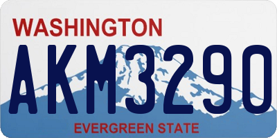 WA license plate AKM3290