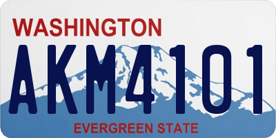 WA license plate AKM4101