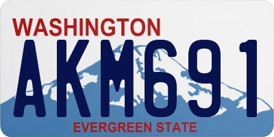WA license plate AKM691