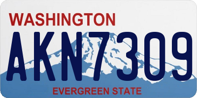 WA license plate AKN7309