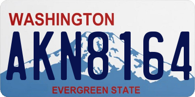 WA license plate AKN8164