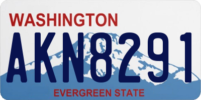 WA license plate AKN8291