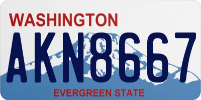 WA license plate AKN8667