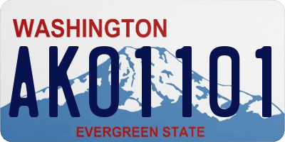 WA license plate AKO1101