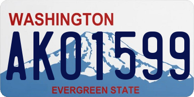 WA license plate AKO1599