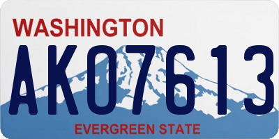 WA license plate AKO7613