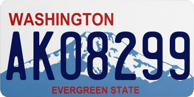 WA license plate AKO8299