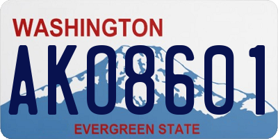 WA license plate AKO8601