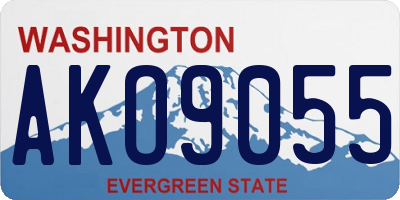 WA license plate AKO9055