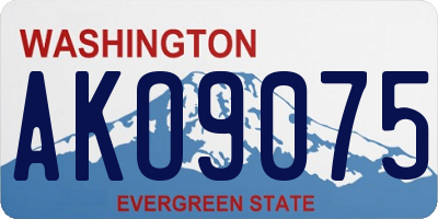 WA license plate AKO9075