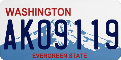 WA license plate AKO9119