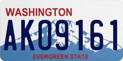 WA license plate AKO9161