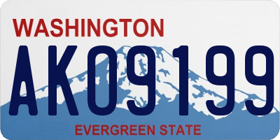 WA license plate AKO9199
