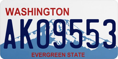 WA license plate AKO9553