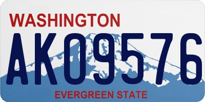 WA license plate AKO9576