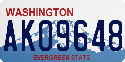 WA license plate AKO9648