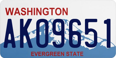 WA license plate AKO9651