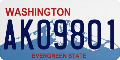 WA license plate AKO9801